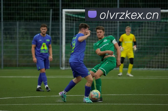 乐鱼官方在线平台入口APP 封面图